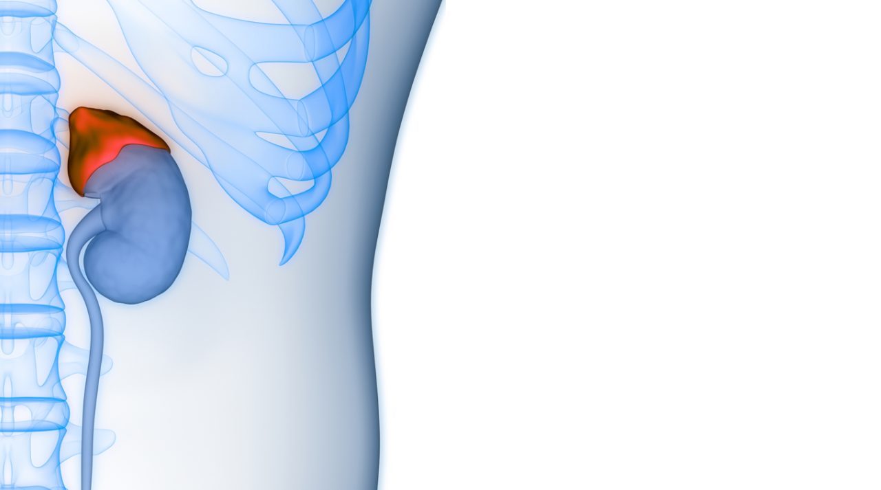 La nueva era en cirugía de cáncer suprarrenal con tecnología robótica de última generación